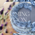 Blog Posts